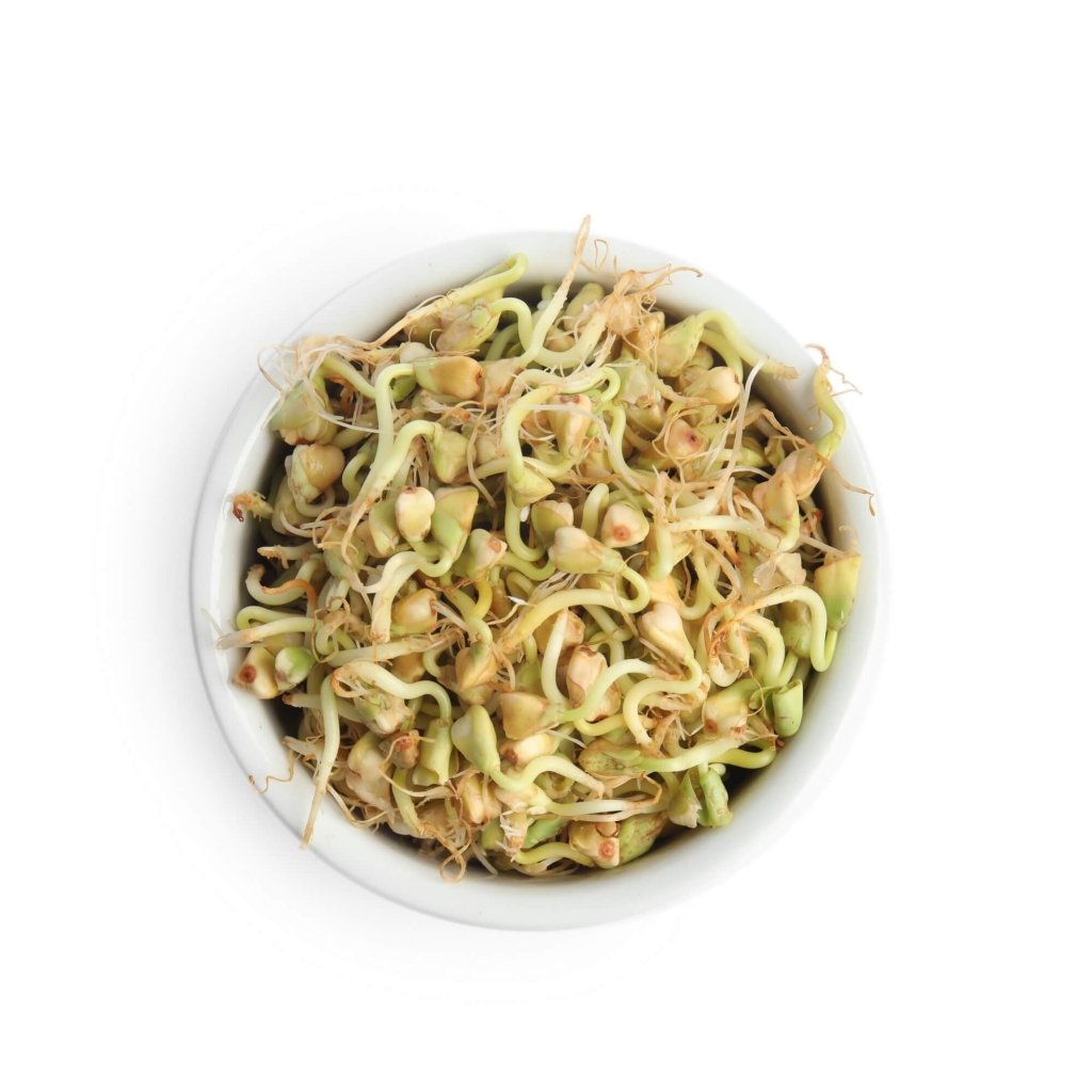 Buckwheat Sprouting Seeds - Happy Valley Seeds