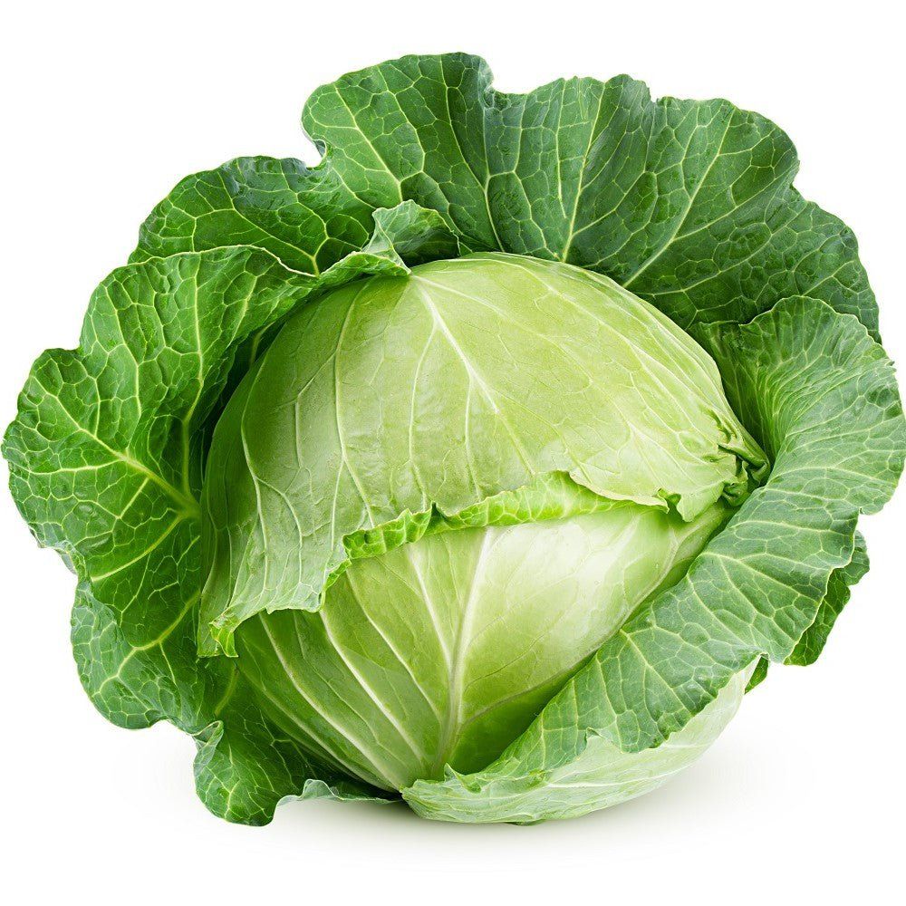 Cabbage - Danish Ballhead seeds - Happy Valley Seeds