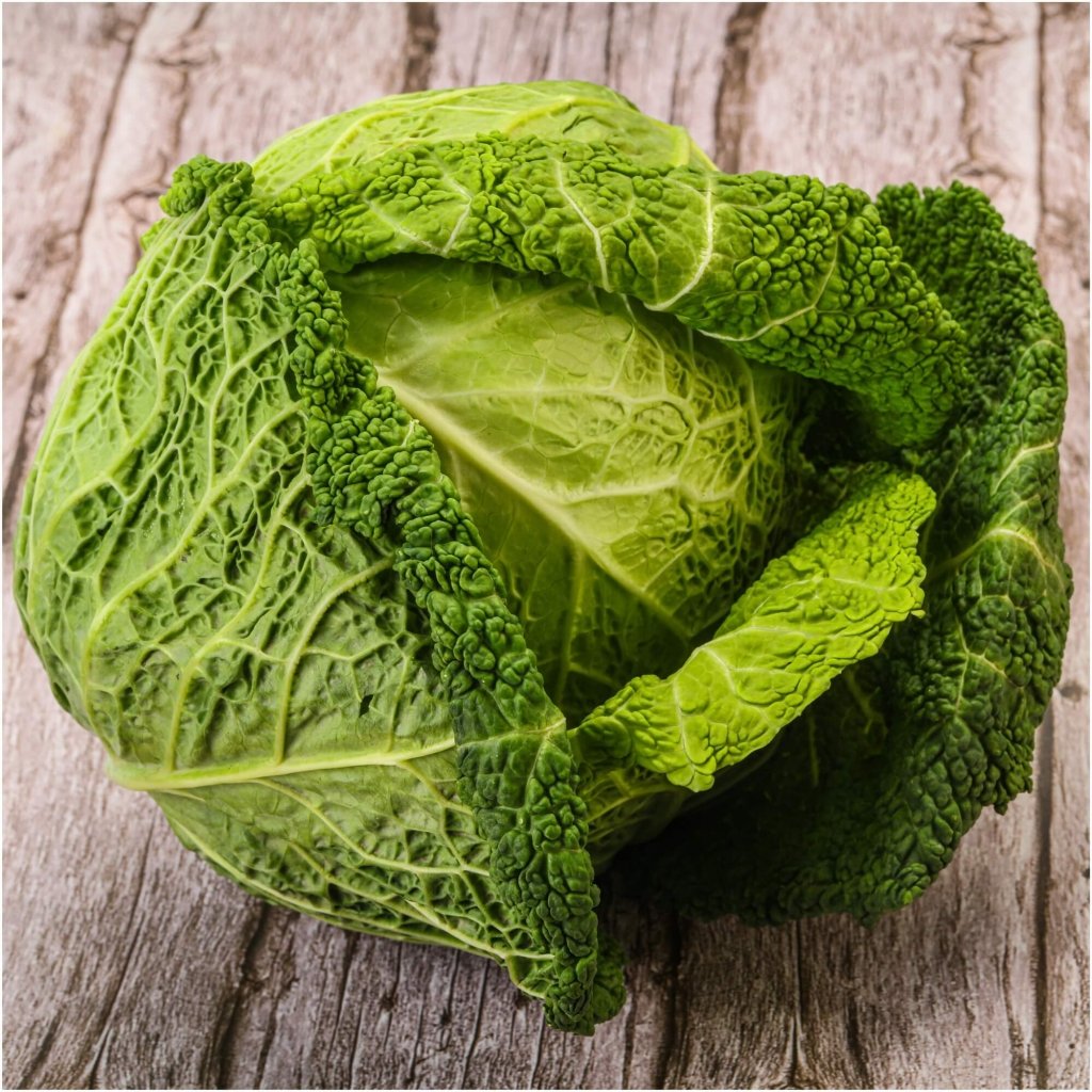 Cabbage - Savoy Green seeds - Happy Valley Seeds