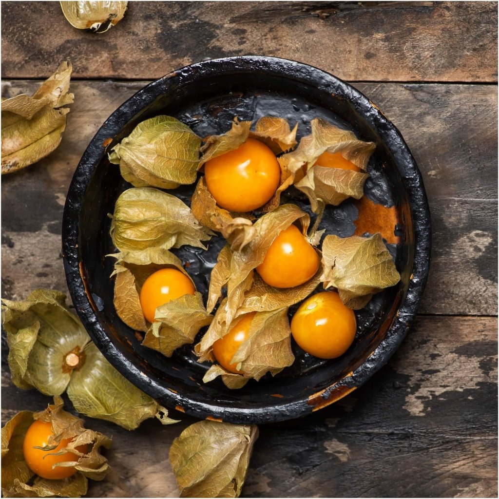 Cape Gooseberry - Dwarf seeds - Happy Valley Seeds