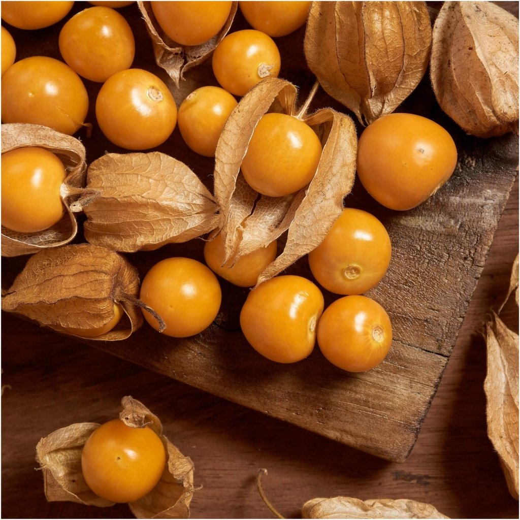 Cape Gooseberry - Golden Nugget seeds - Happy Valley Seeds