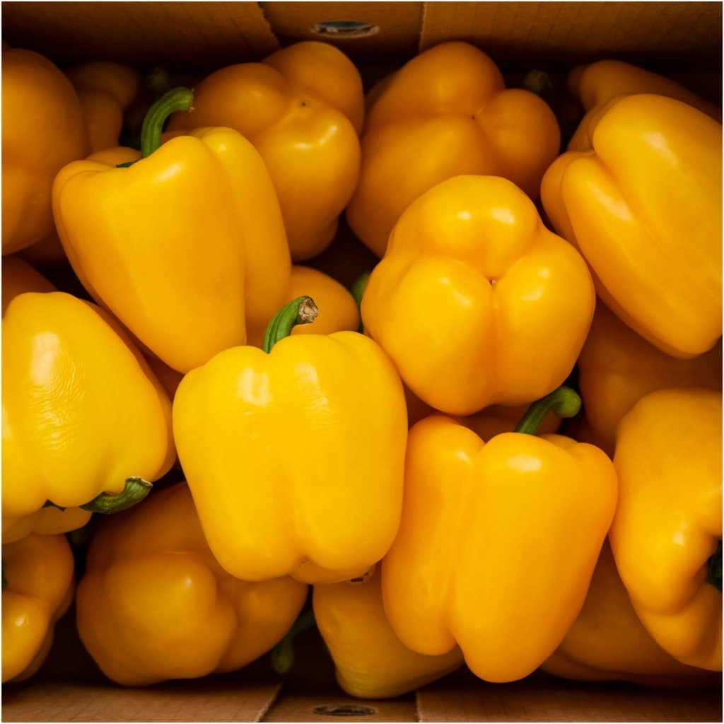 Capsicum - Golden California Wonder seeds - Happy Valley Seeds