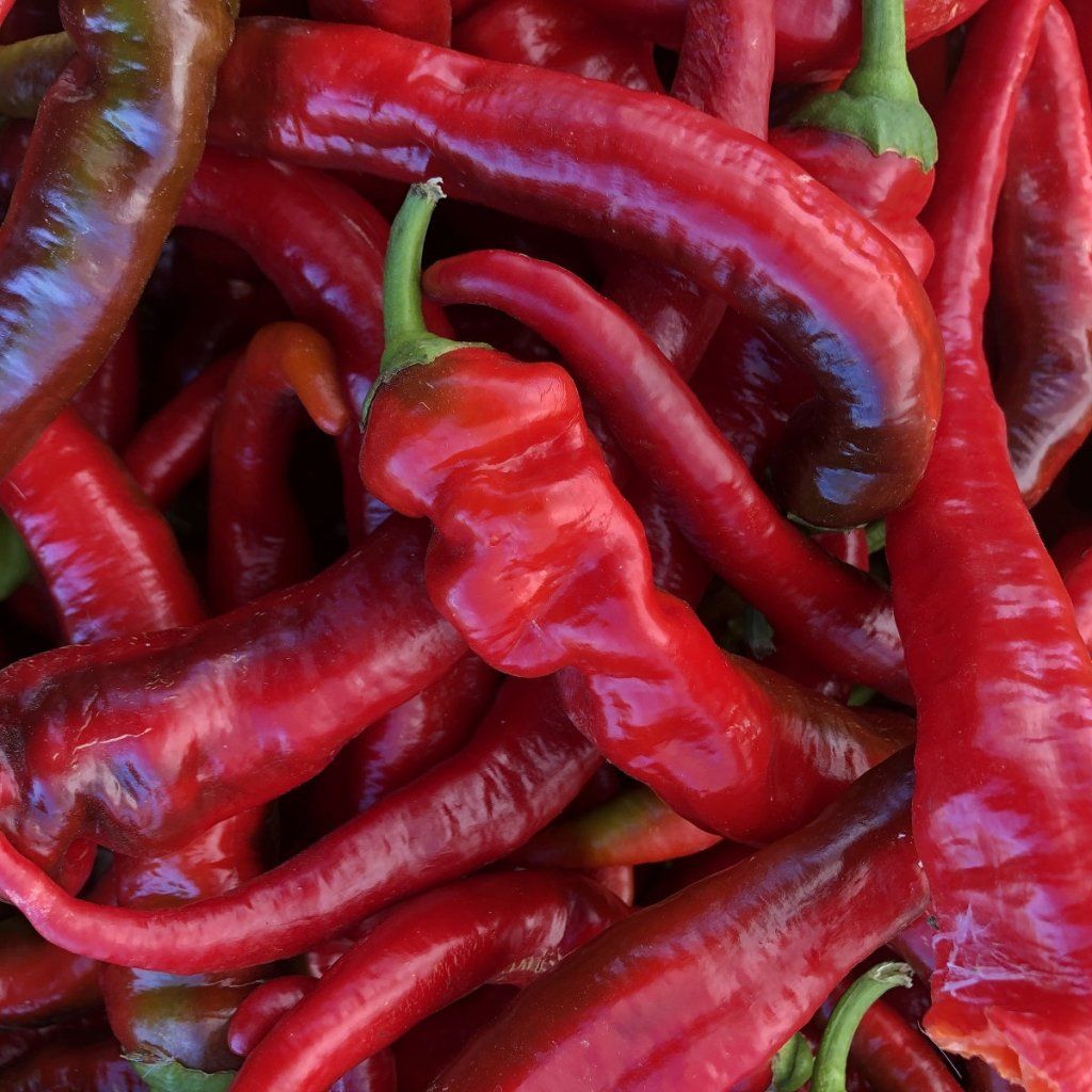 Capsicum - Jimmy Nardello seeds - Happy Valley Seeds