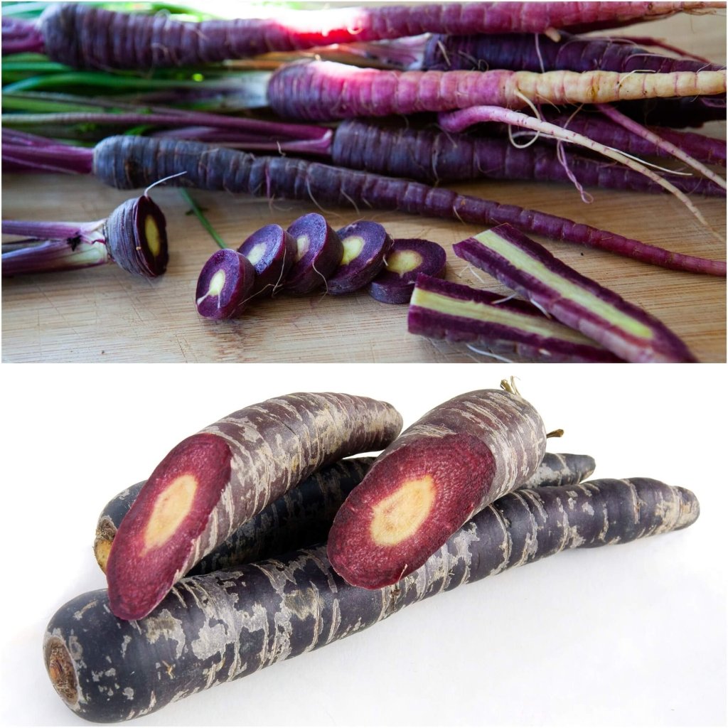Carrot - Black Nebula seeds - Happy Valley Seeds