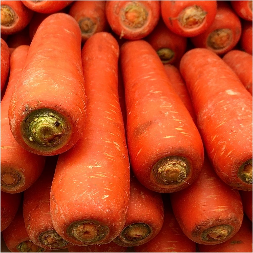 Carrot - Chantenay Red Cored seeds - Happy Valley Seeds