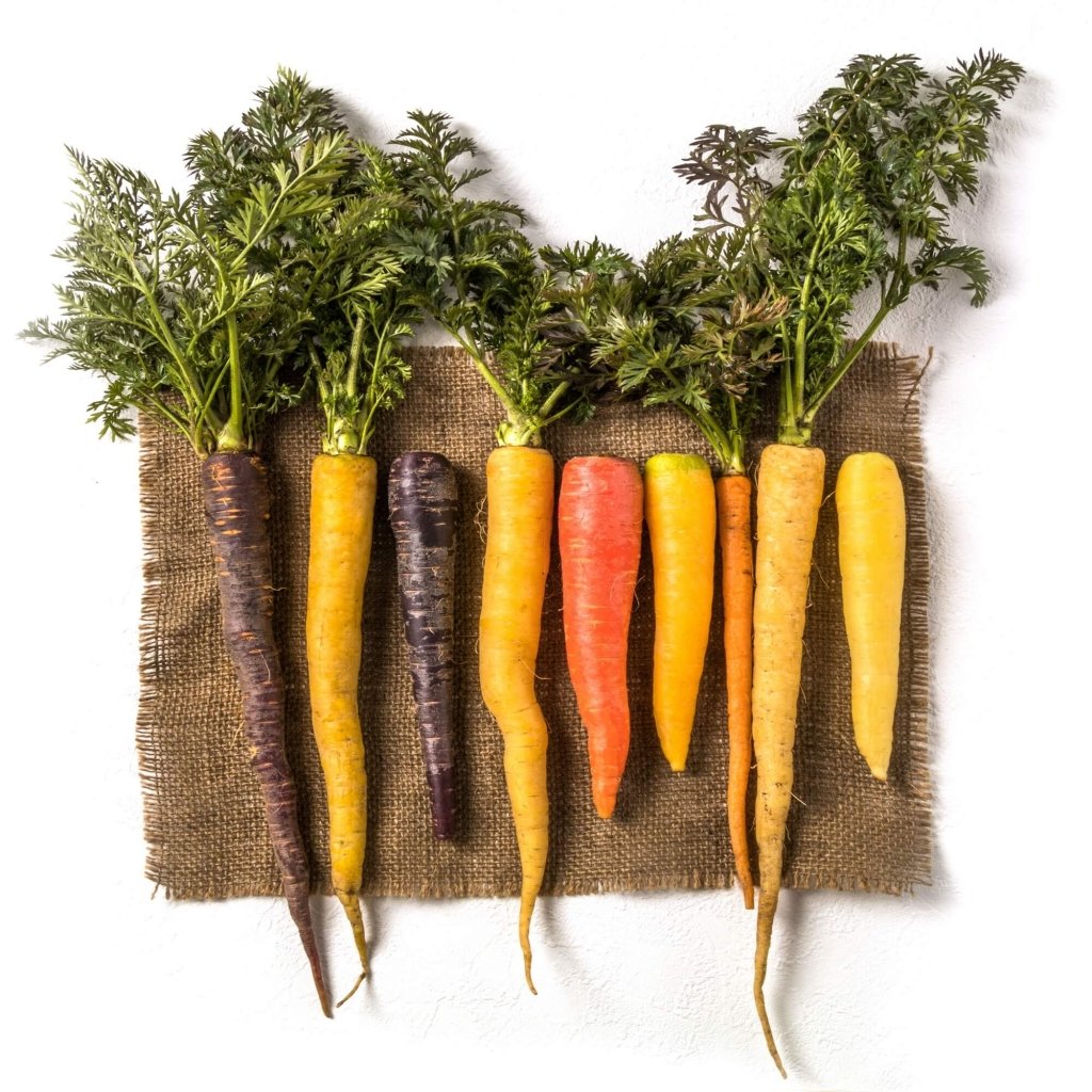 Carrot - Heirloom Mix seeds - Happy Valley Seeds