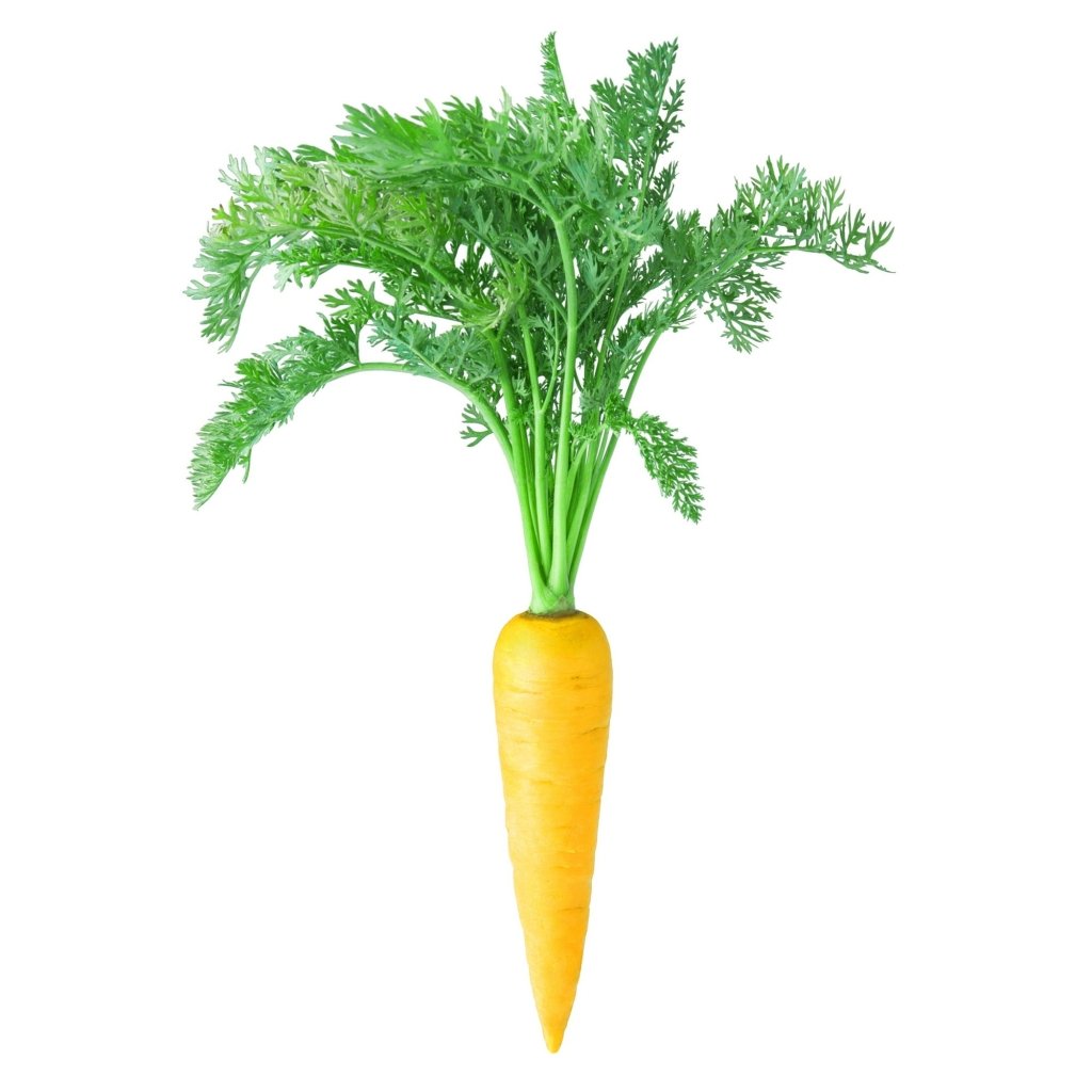 Carrot - Mellow Yellow F1 seeds - Happy Valley Seeds