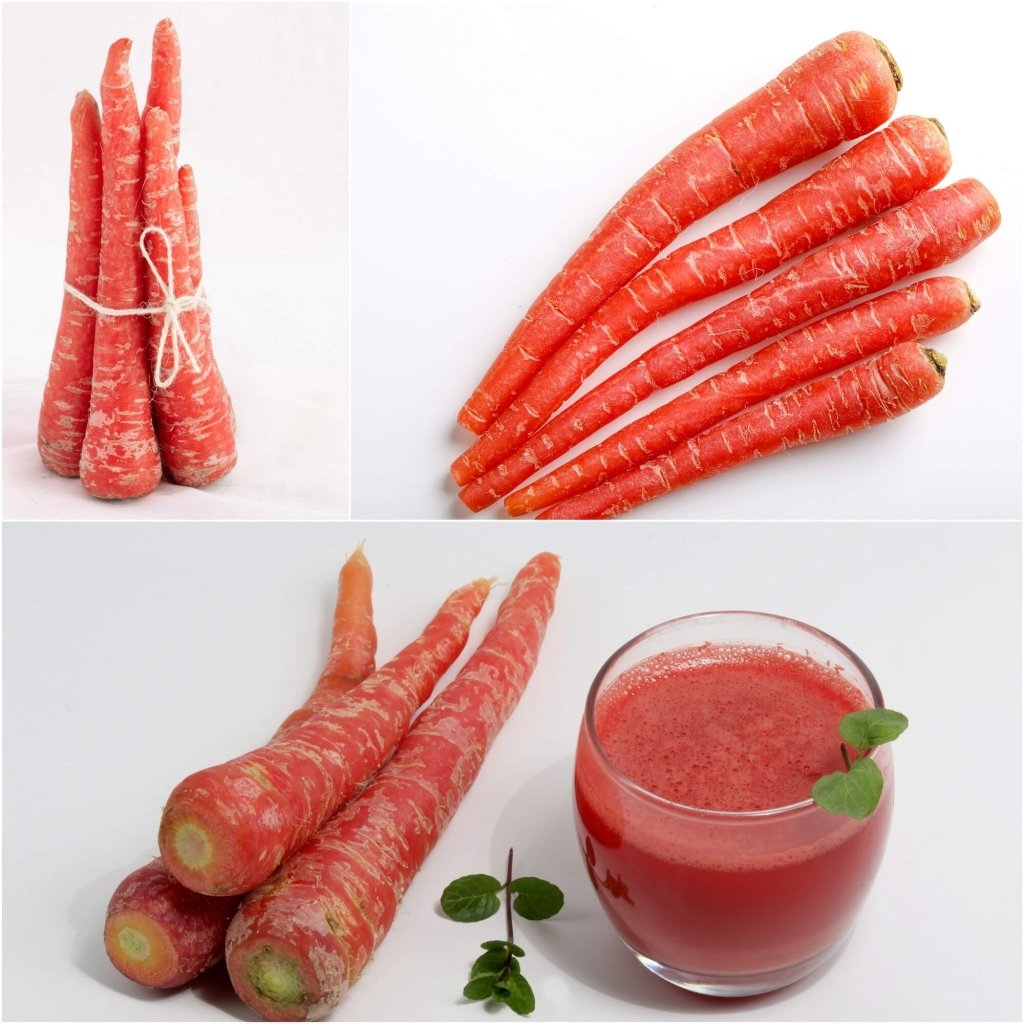 Carrot - Scarlet Red seeds - Happy Valley Seeds