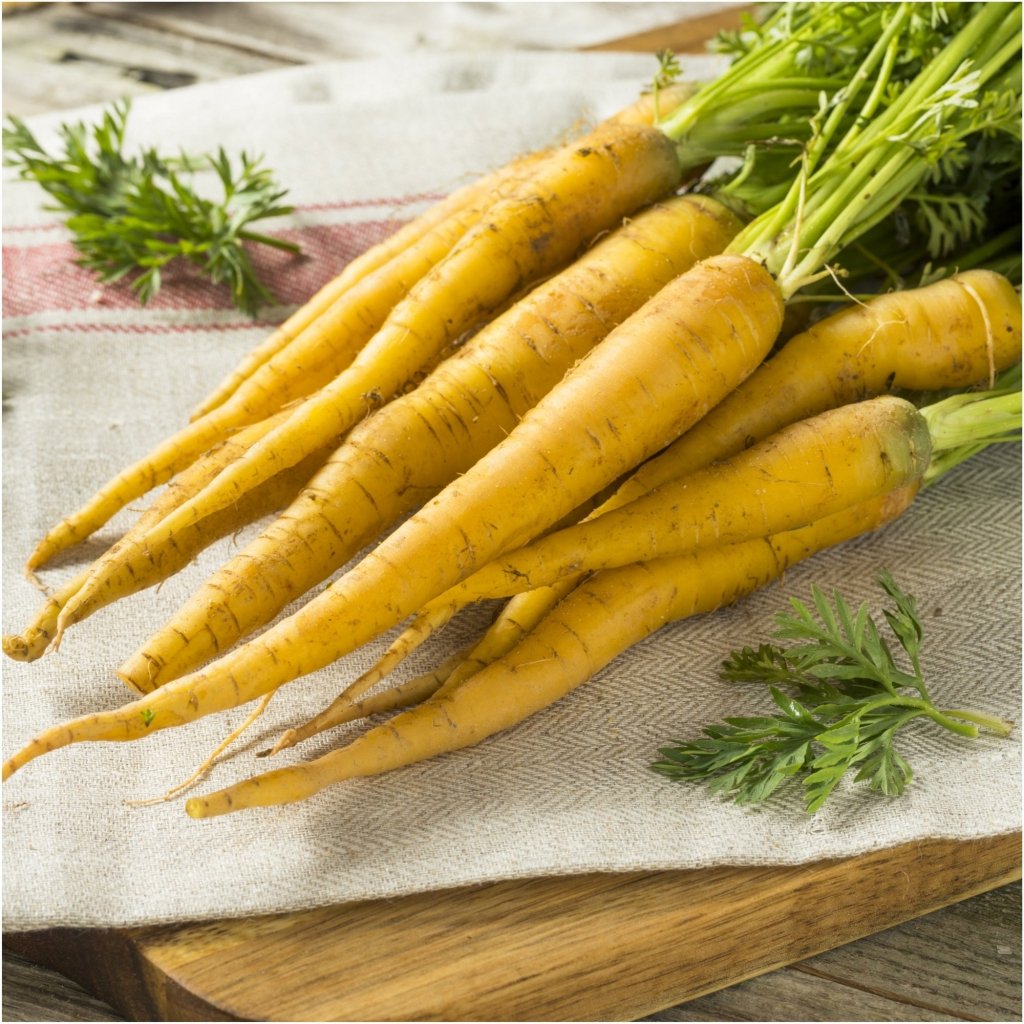 Carrot - Solar Yellow seeds - Happy Valley Seeds
