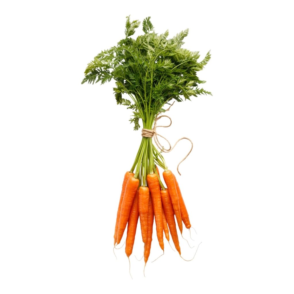 Carrot - Supabunch (Bunching) seeds - Happy Valley Seeds