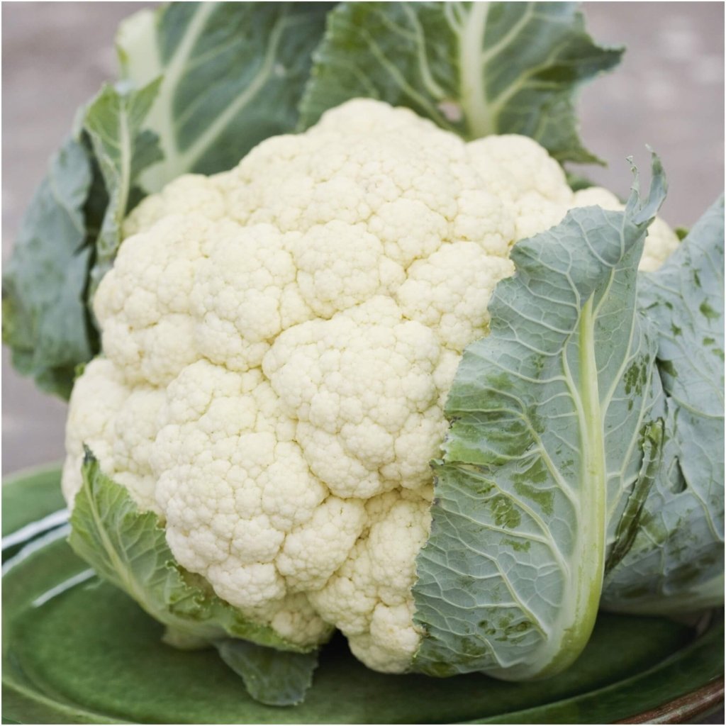 Cauliflower - Adventure F1 seeds - Happy Valley Seeds