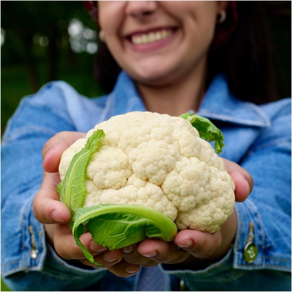 Cauliflower - Boris F1 seeds - Happy Valley Seeds