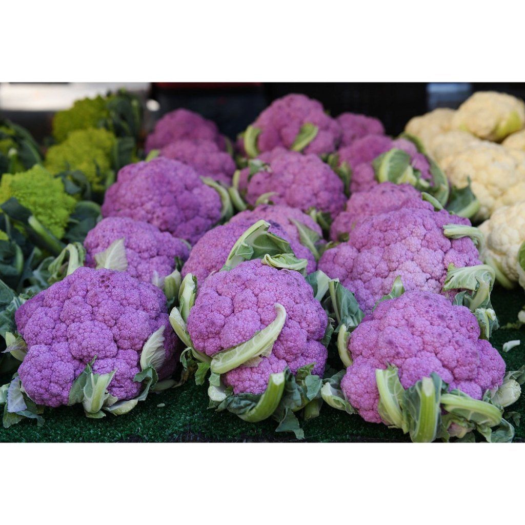 Cauliflower - DePurple F1 seeds - Happy Valley Seeds