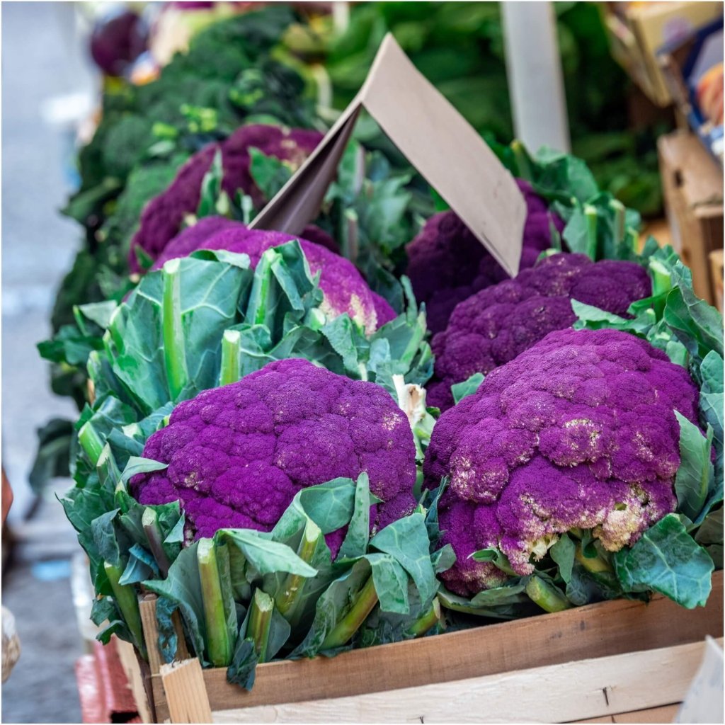 Cauliflower - Purple Sicily seeds - Happy Valley Seeds