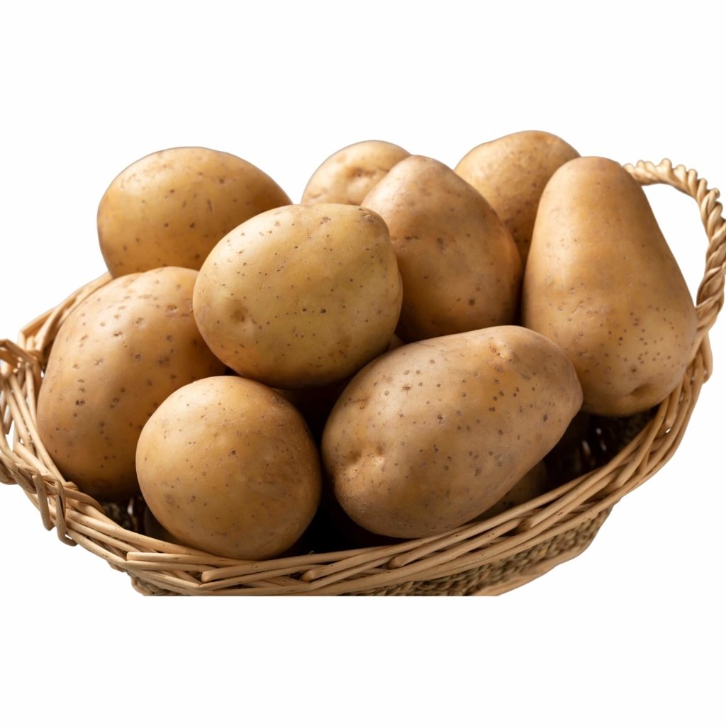 Certified Seed Potato - Nicola - Happy Valley Seeds