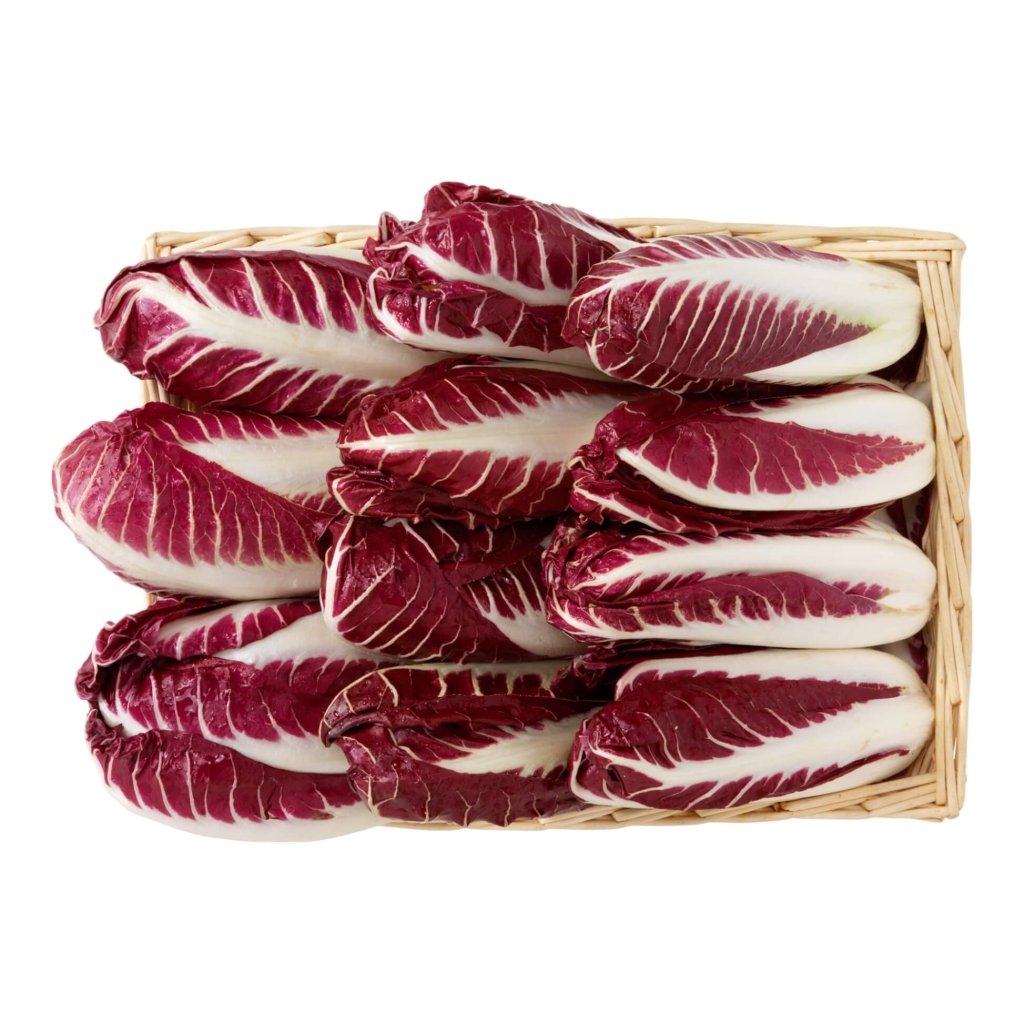 Chicory - Trevisio Red seeds - Happy Valley Seeds