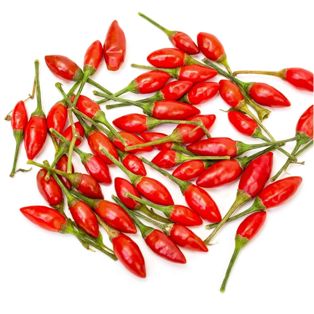 Chilli - African Birds Eye (Piri Piri) seeds - Happy Valley Seeds