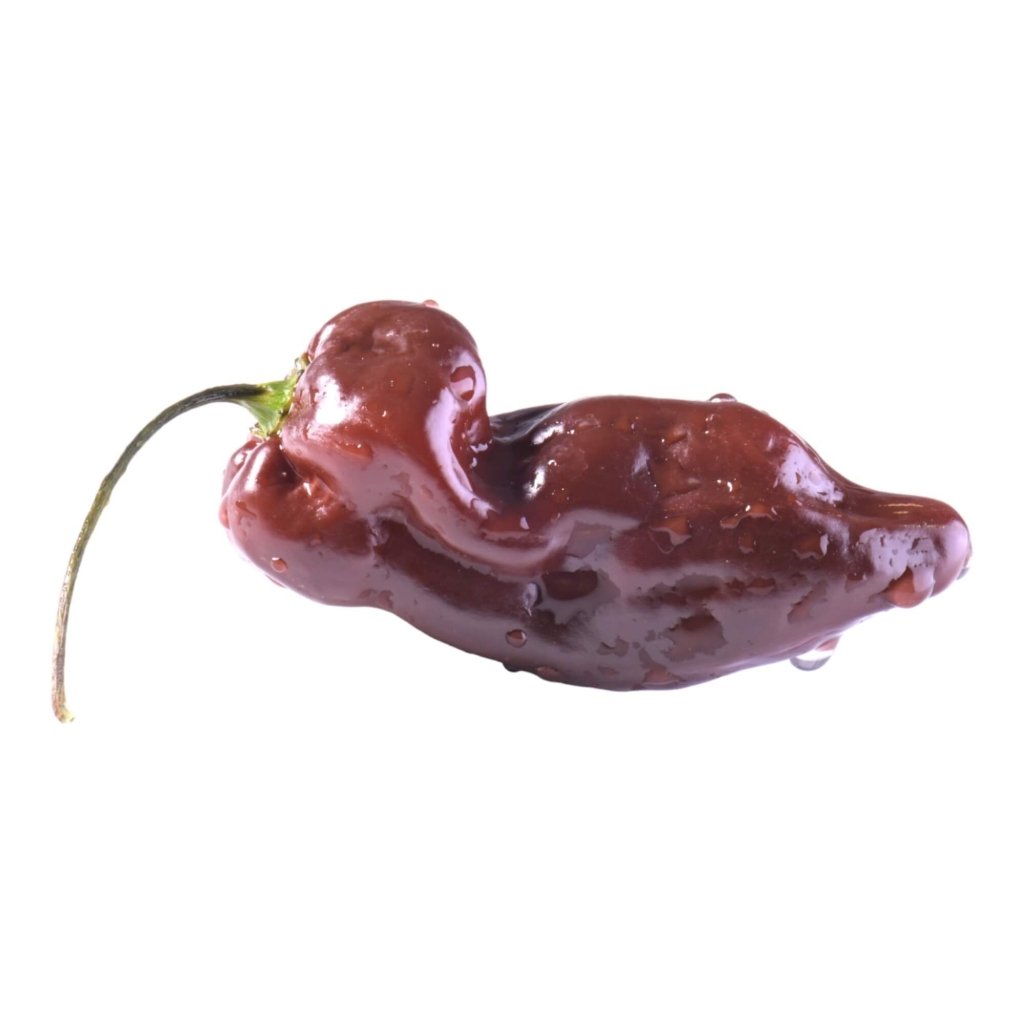 Chilli - Bhut Jolokia Chocolate Brown seeds - Happy Valley Seeds