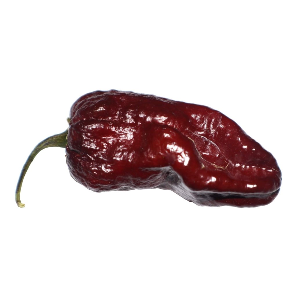 Chilli - Bhutlah DM Chocolate seeds - Happy Valley Seeds