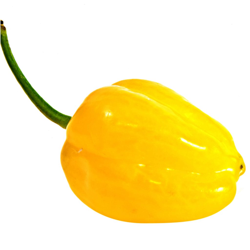 Chilli - Bido Tacana YELLOW seeds - Happy Valley Seeds