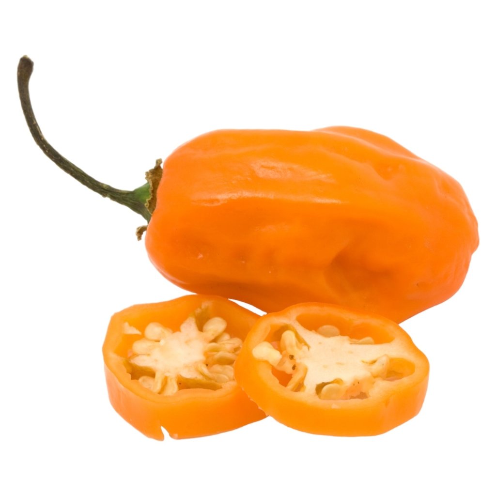 Chilli - Habanero Golden seeds - Happy Valley Seeds