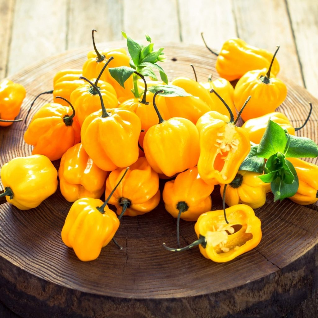 Chilli - Habanero Yellow seeds - Happy Valley Seeds