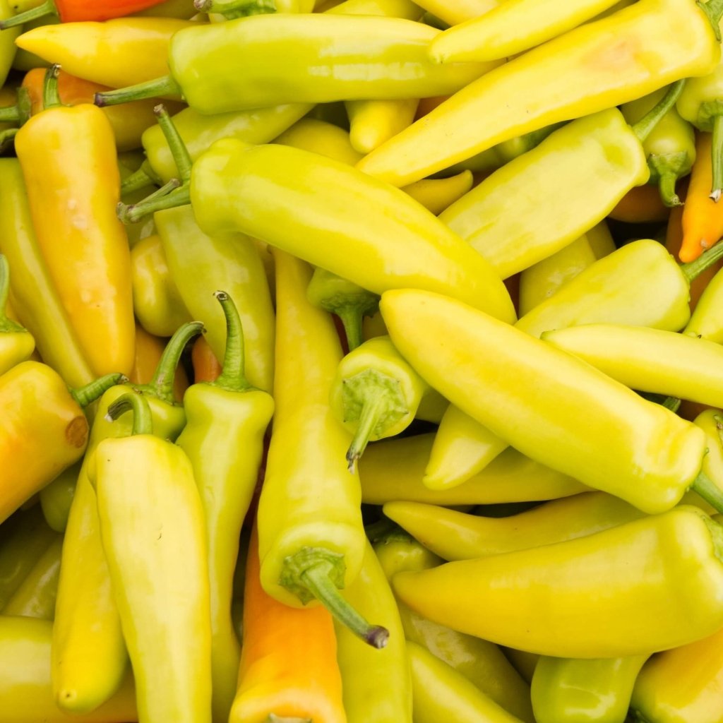Chilli - Hungarian Yellow Wax Hot seeds - Happy Valley Seeds