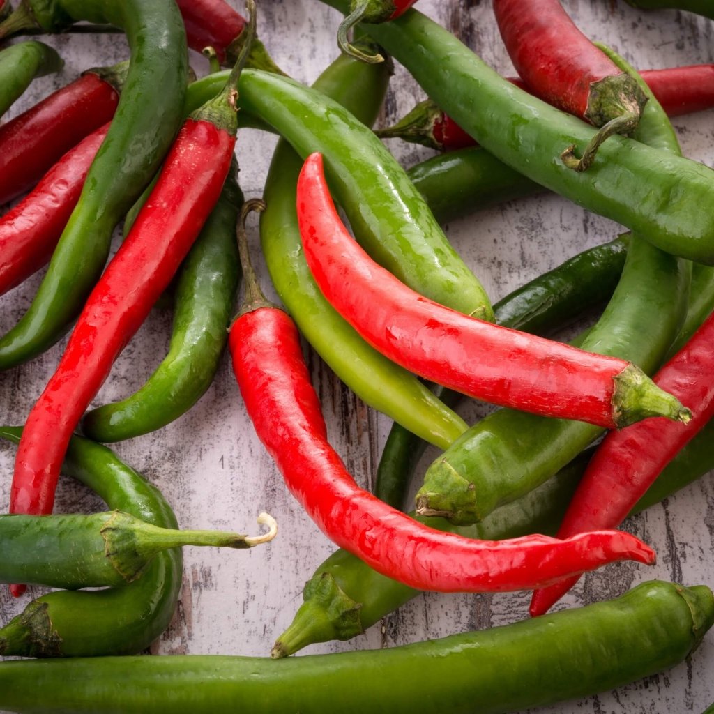 Chilli - Red Salsa F1 seeds - Happy Valley Seeds