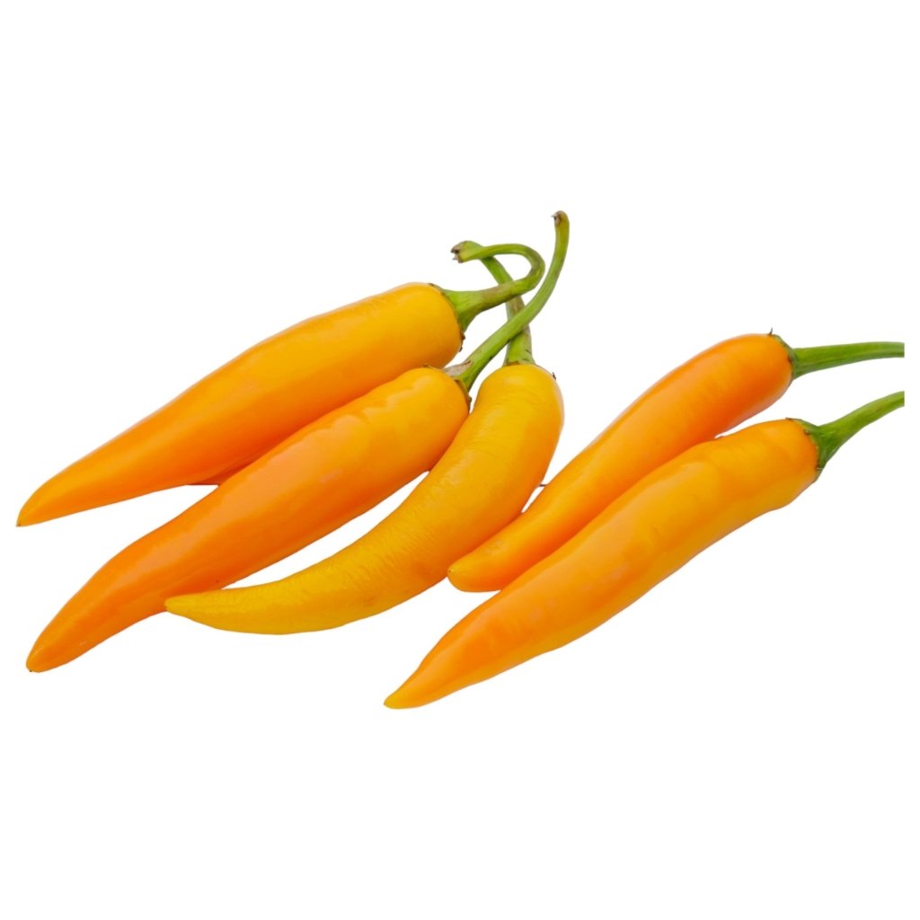 Chilli - Siam Yellow seeds - Happy Valley Seeds