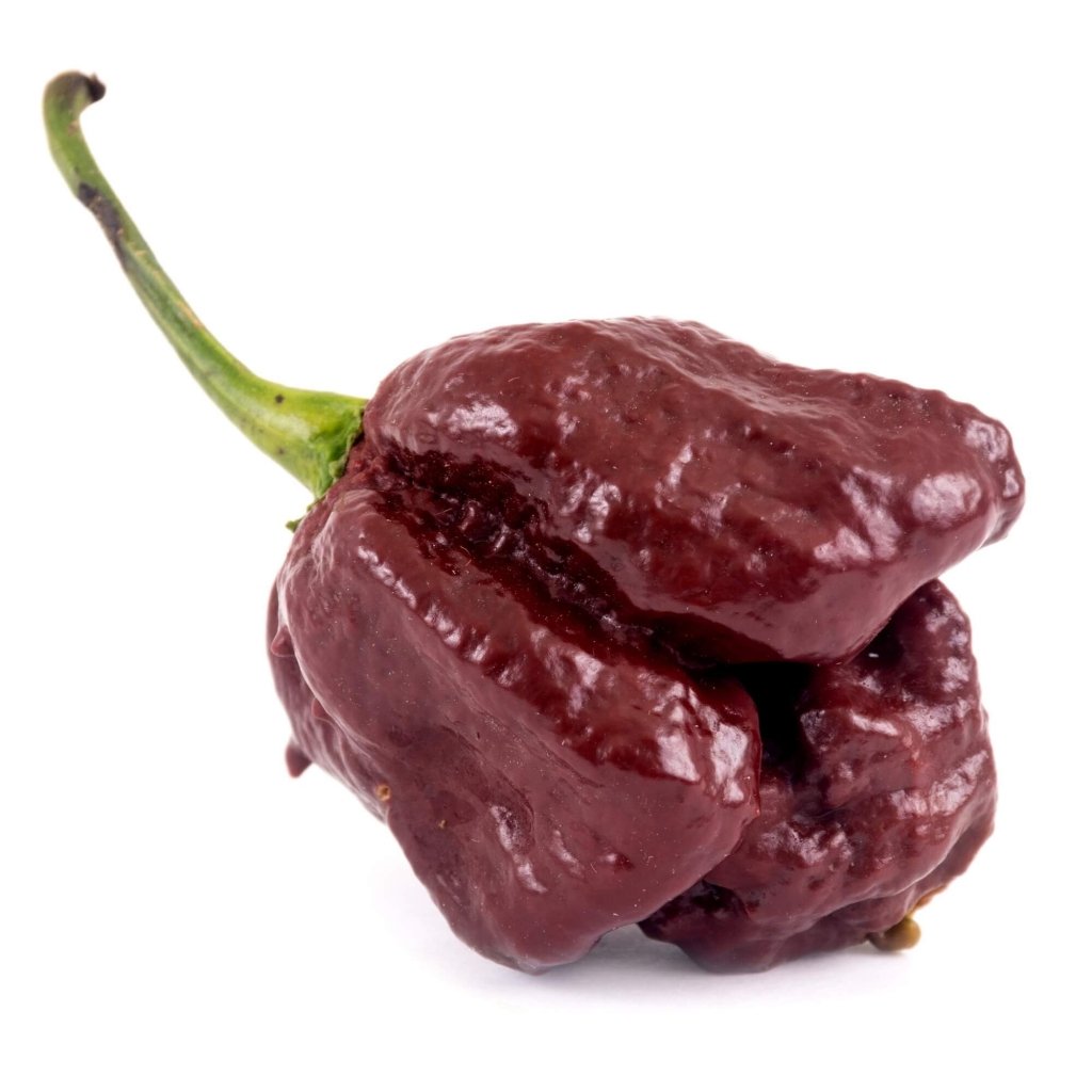 Chilli - Trinidad 7 Pod Brown seeds - Happy Valley Seeds