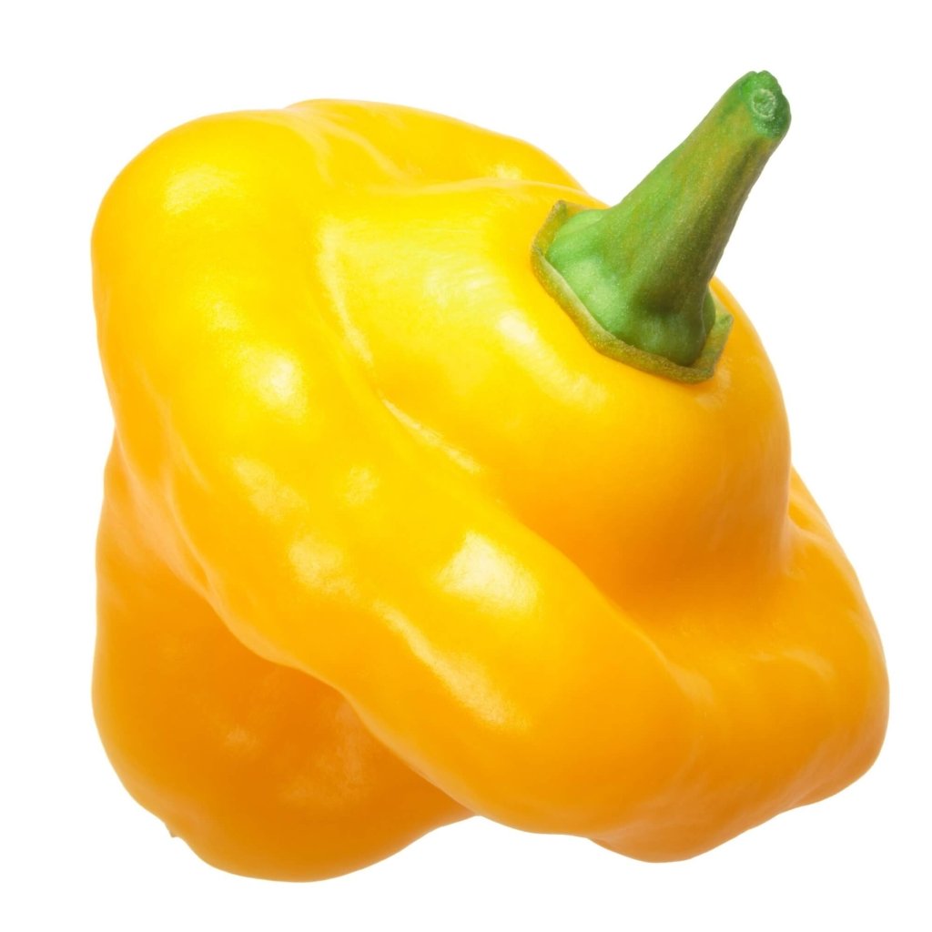 Chilli - Trinidad 7 Pod Yellow seeds - Happy Valley Seeds