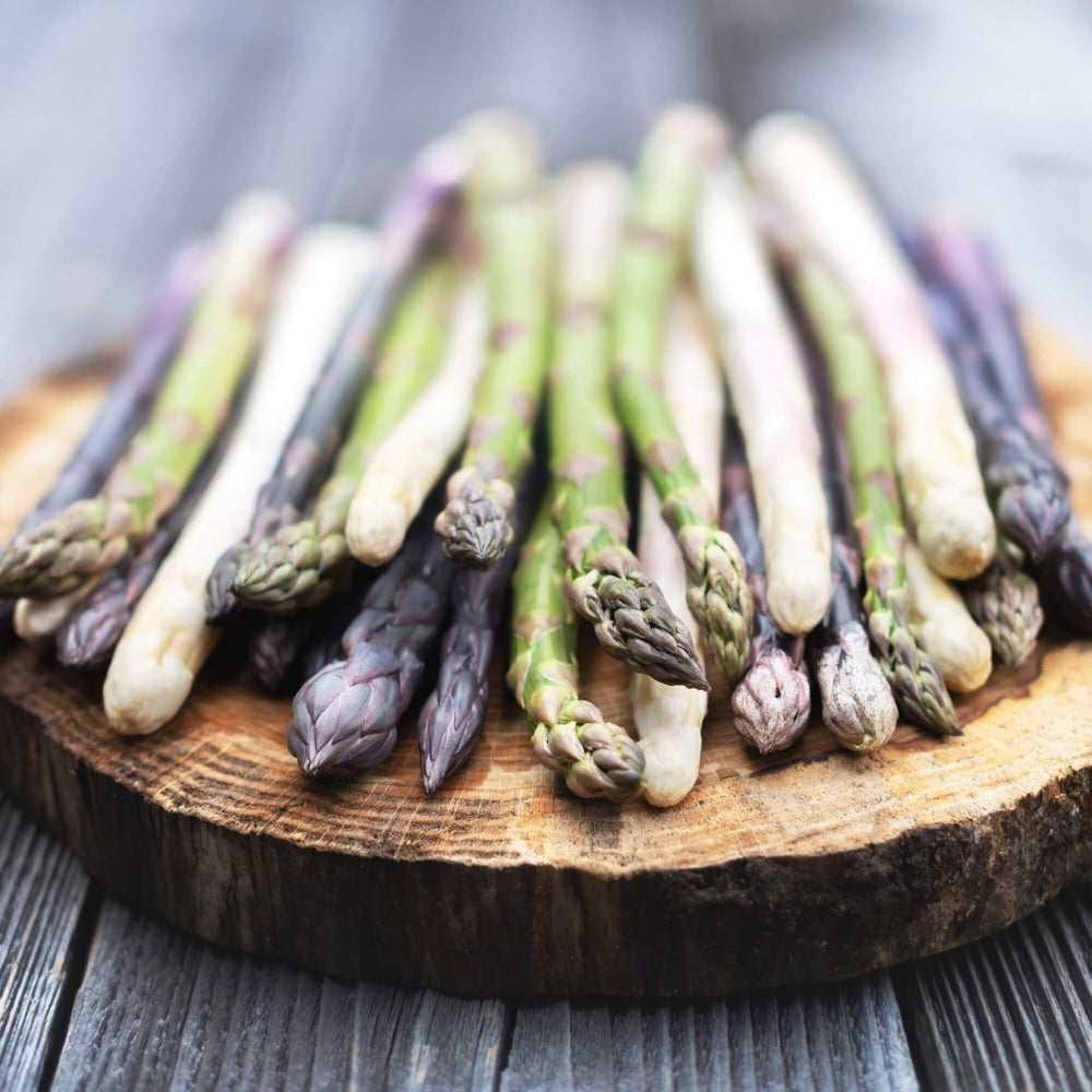 Buy Asparagus seeds Online Happy Valley Seeds