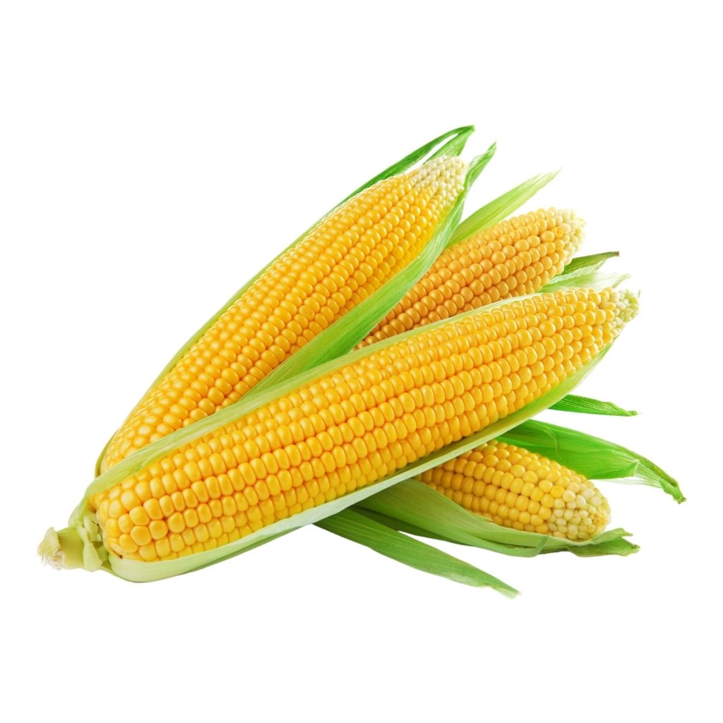 Corn Sweet - Golden Bantam seeds - Happy Valley Seeds