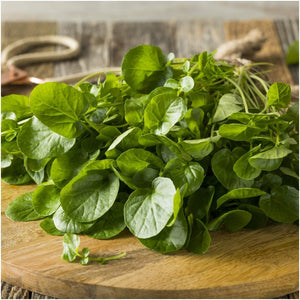Cress - True Water seeds