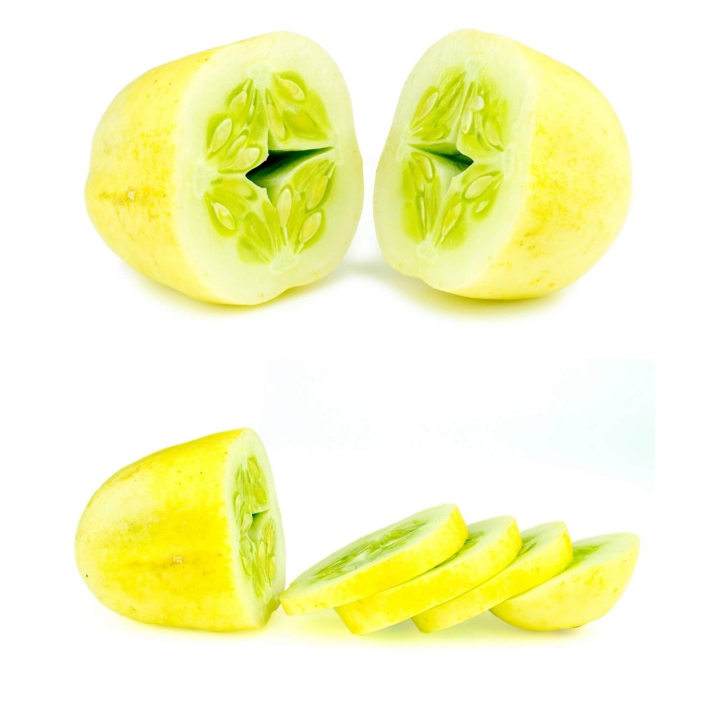 Cucumber - Crystal Apple seeds - Happy Valley Seeds