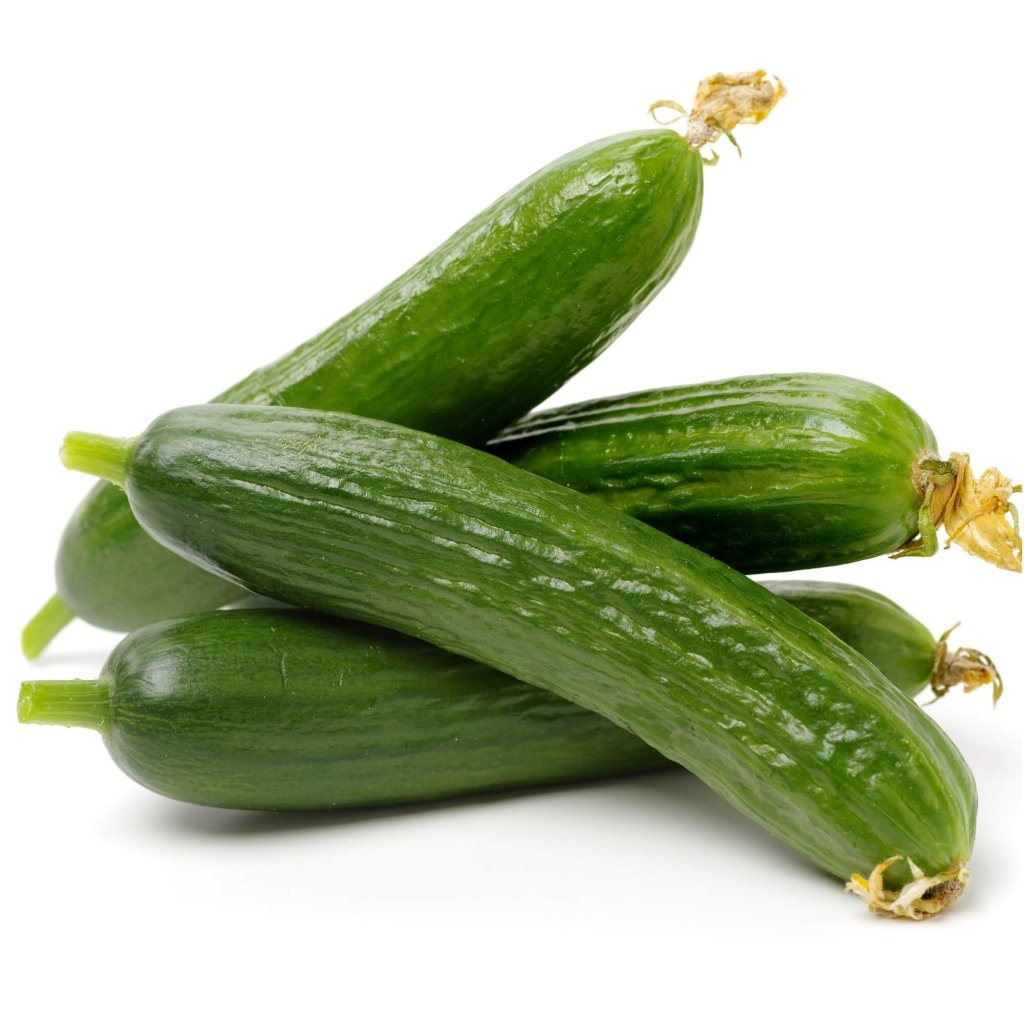 Cucumber - Marina 2 F1 seeds - Happy Valley Seeds
