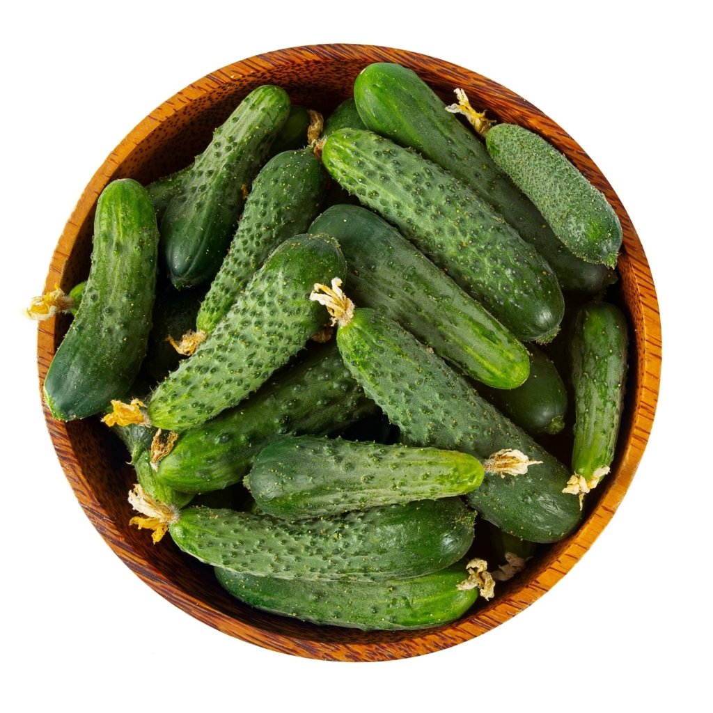 Cucumber - Pioneer F1 seeds - Happy Valley Seeds