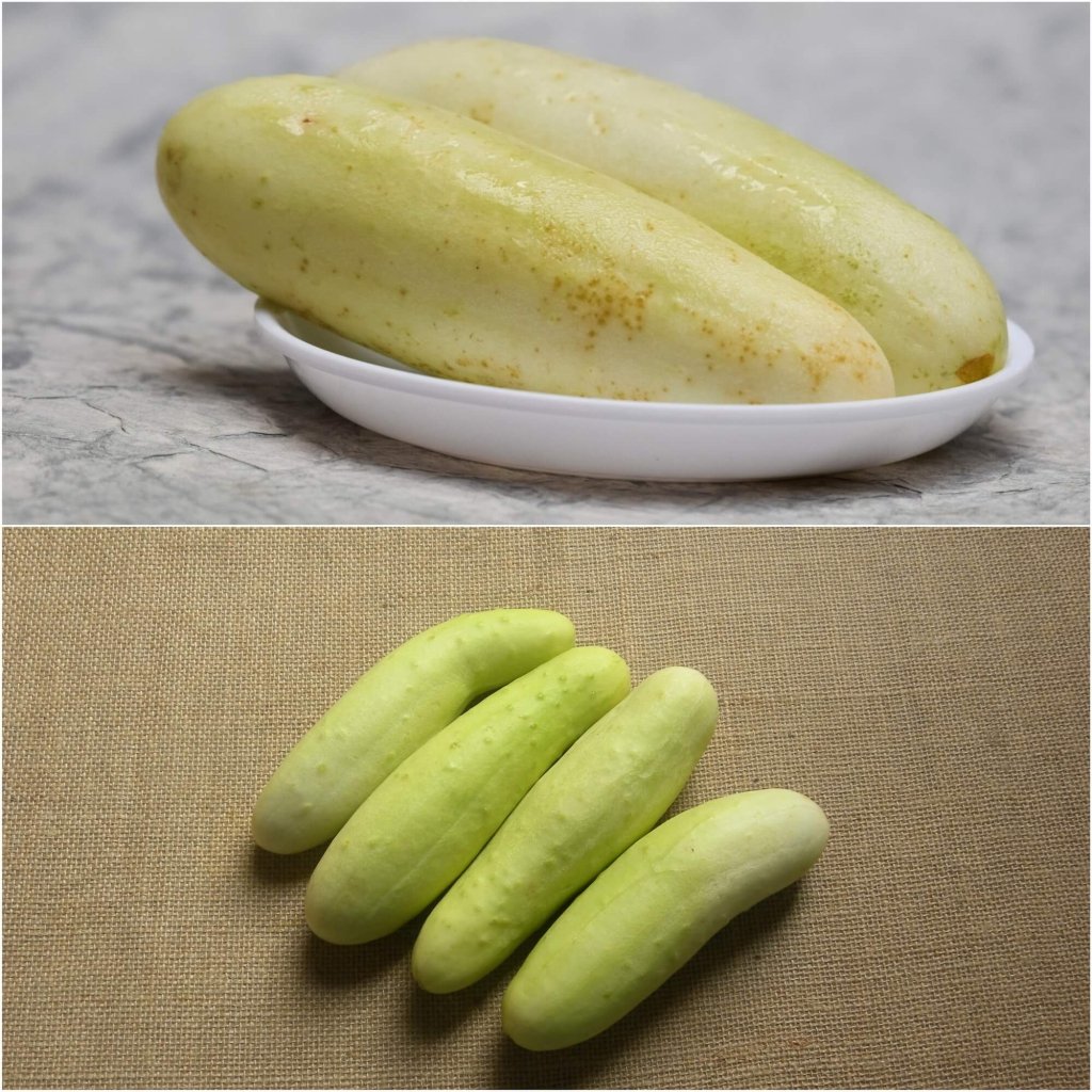 Cucumber - Redlands Long White seeds - Happy Valley Seeds