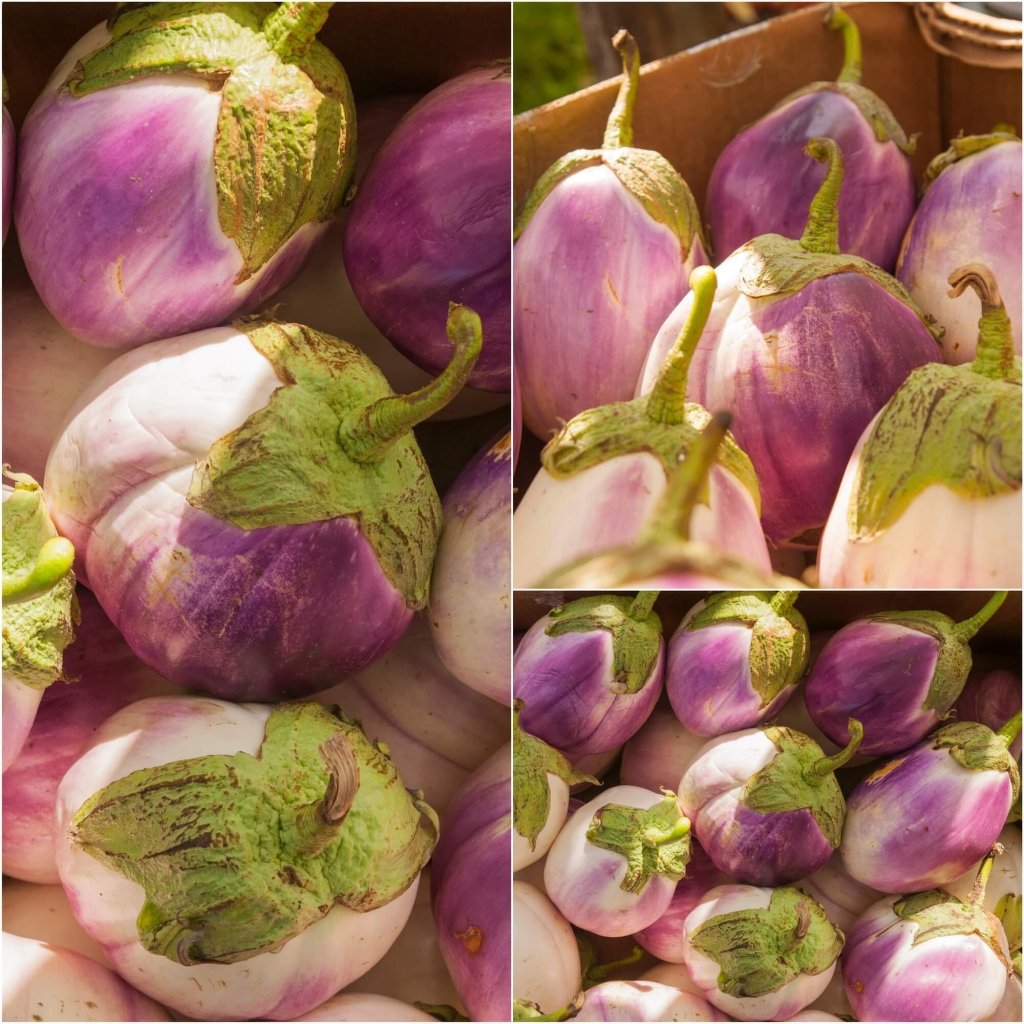 Eggplant - Rosa Bianca seeds - Happy Valley Seeds