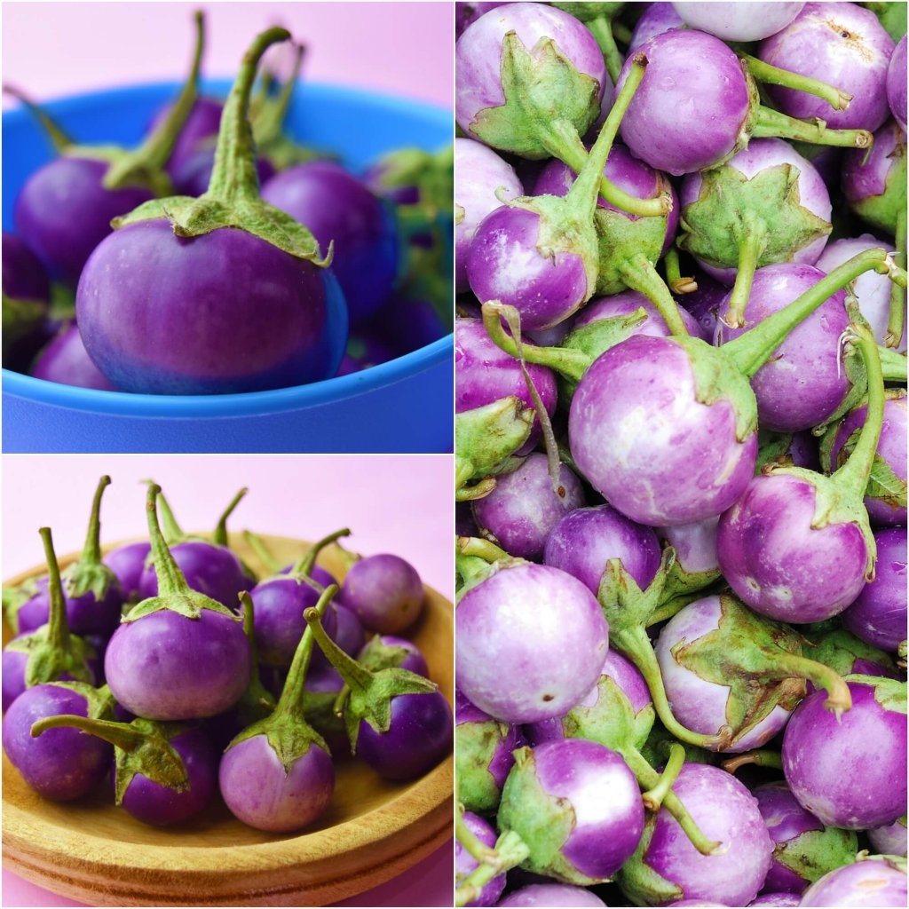 Eggplant - Thai Purple Ball seeds - Happy Valley Seeds