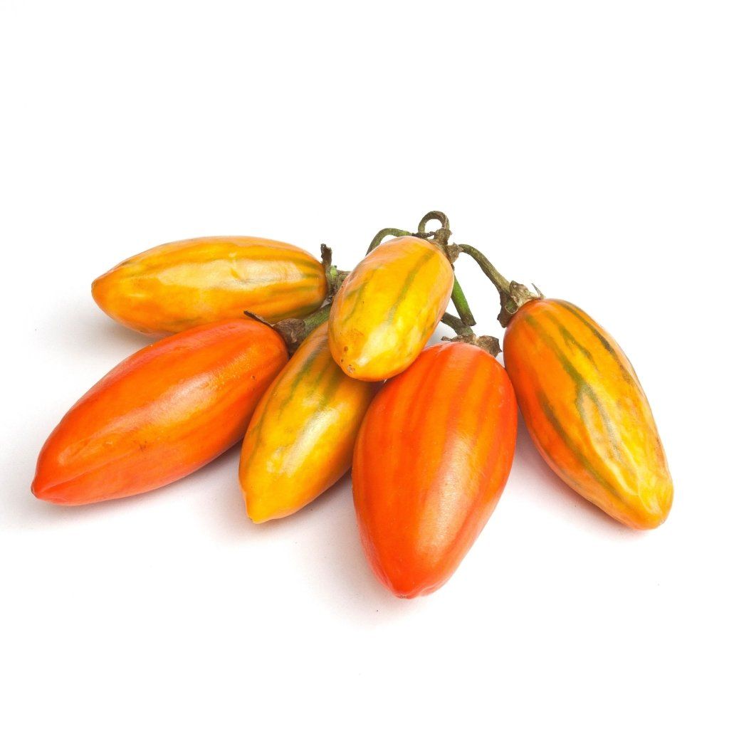 Eggplant - Togo seeds - Happy Valley Seeds
