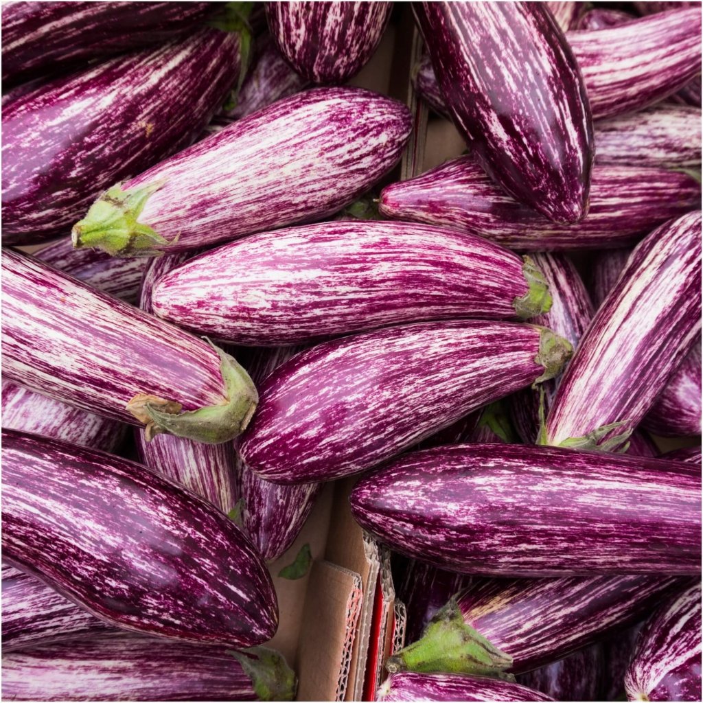 Eggplant - Tsakoniki seeds - Happy Valley Seeds