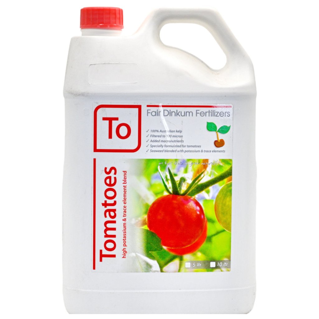 Fair Dinkum - Tomatoes 5 Litre - Happy Valley Seeds