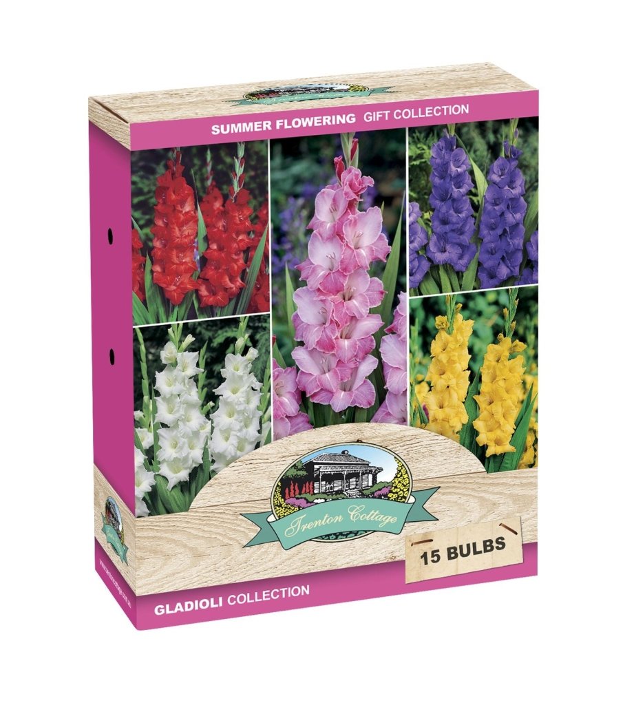 Gift Box - Gladioli Collection 15 Bulbs - Happy Valley Seeds