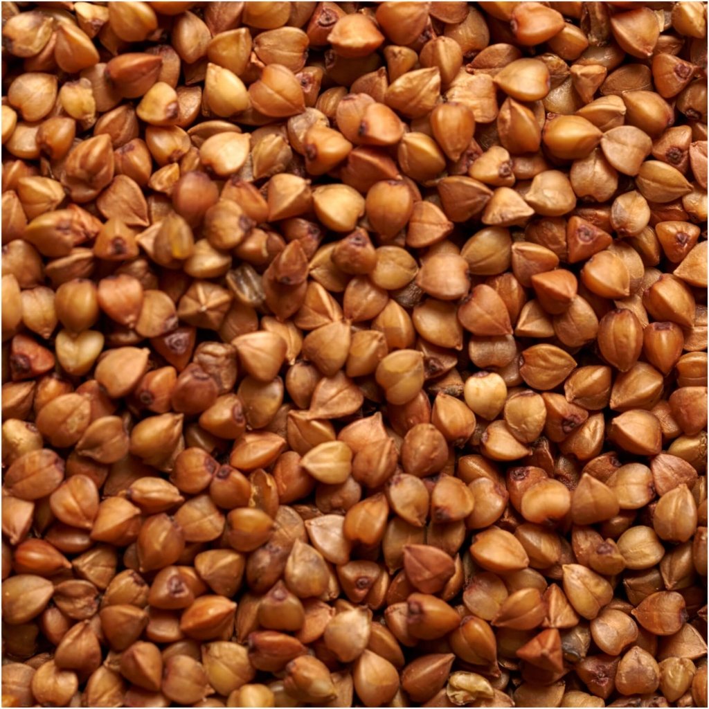 Green Manure - Buckwheat seeds - Happy Valley Seeds