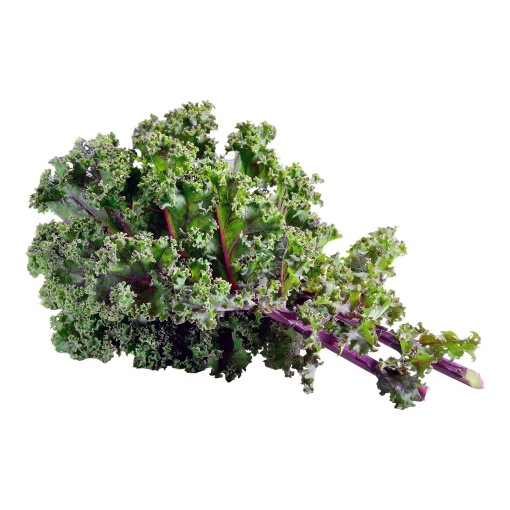 Kale - Red Russian seeds - Happy Valley Seeds