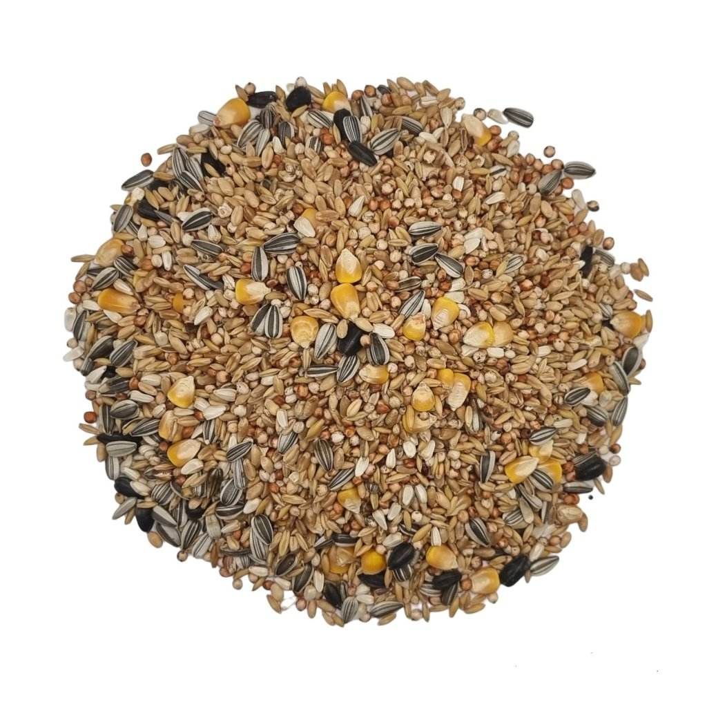 Large Wild Bird Mix seeds