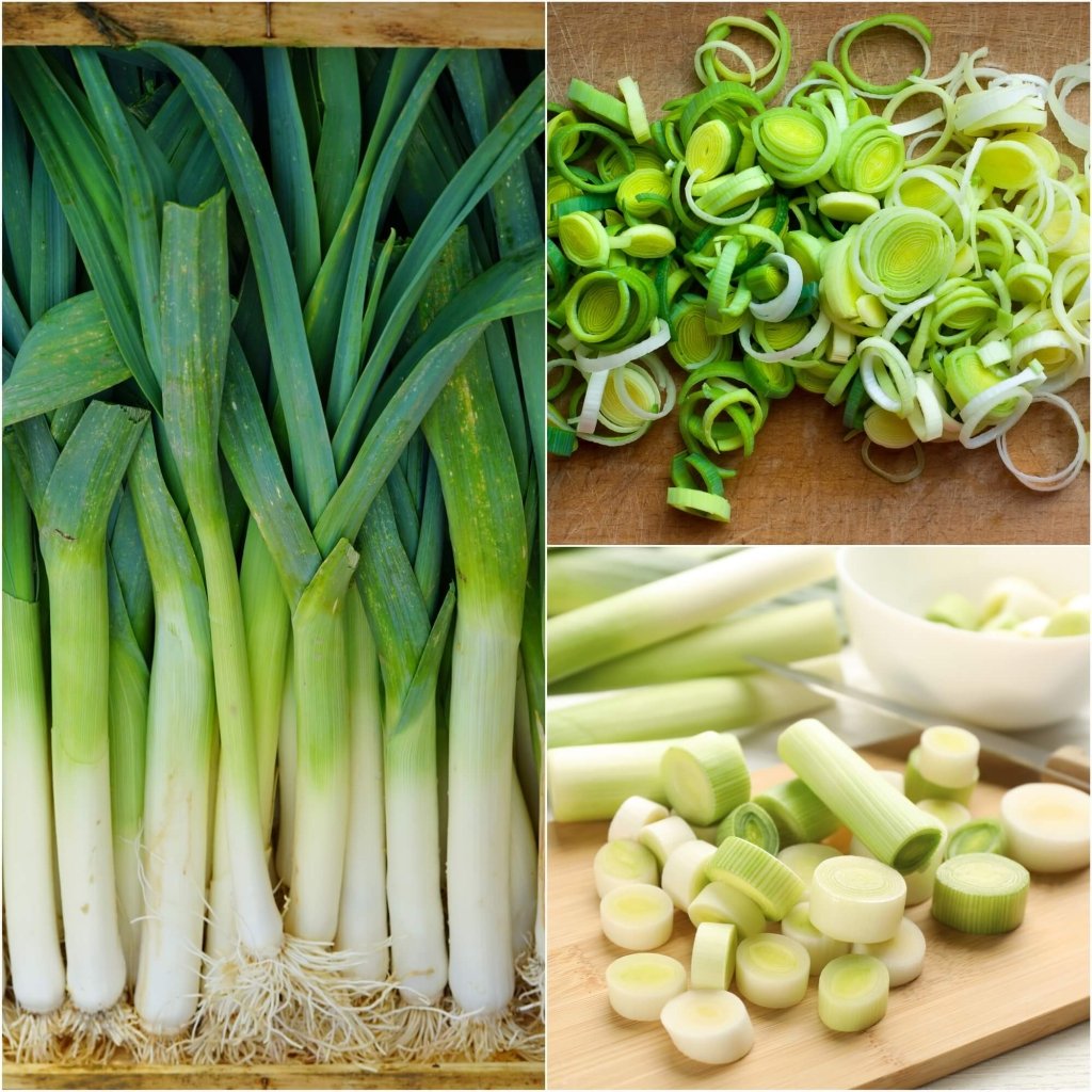 Leek - Carentan seeds - Happy Valley Seeds