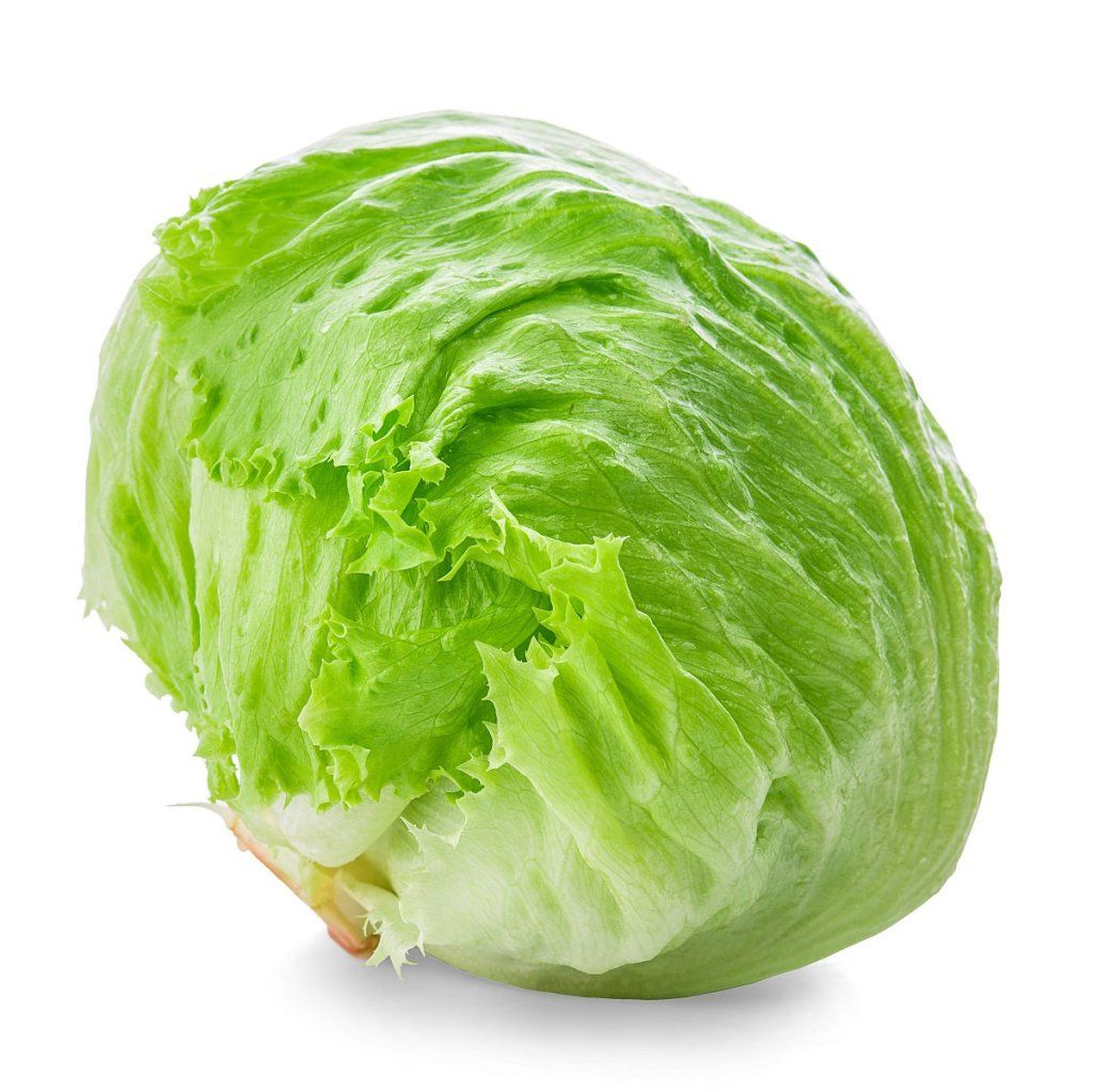 Lettuce - Cool Guard seeds - Happy Valley Seeds