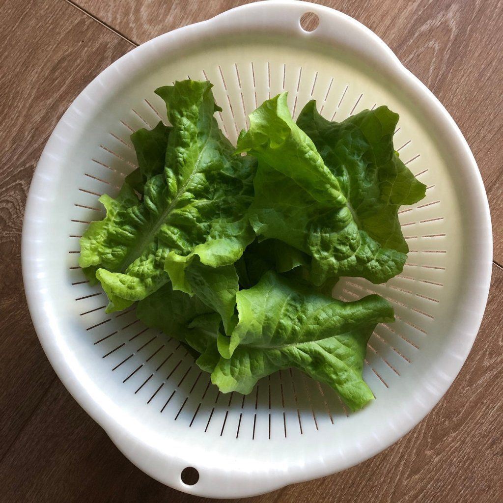 Lettuce - Leaf Prizehead seeds - Happy Valley Seeds